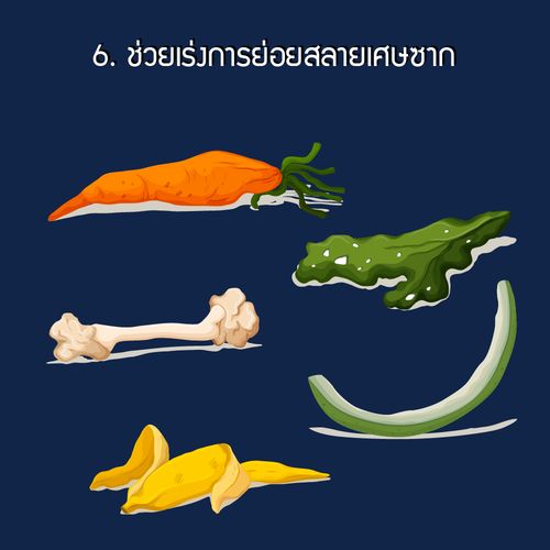 Infographic âÁà´Å¡ÒÃºÃÔ¡ÒÃÇÔªÒ¡ÒÃÊÙèªØÁª¹