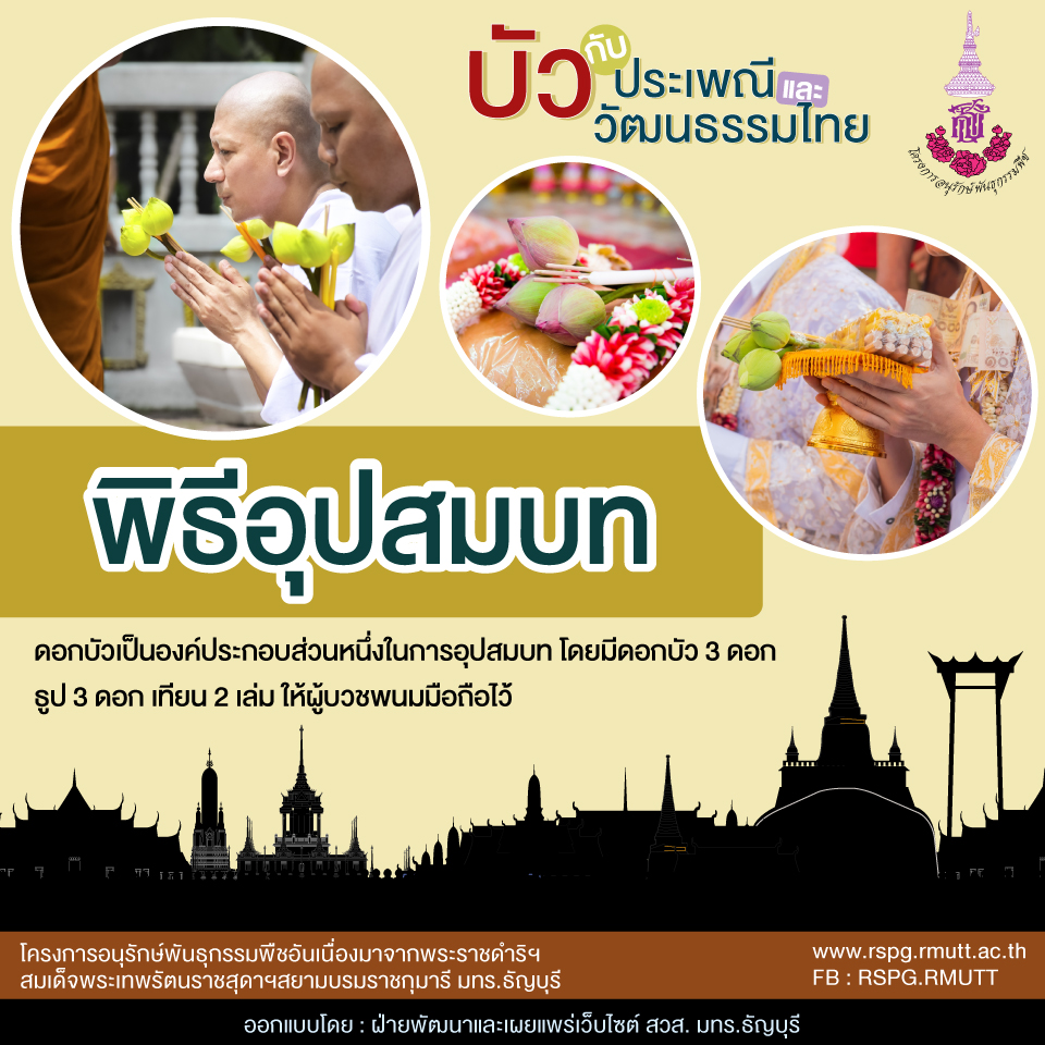 บัวกับประเพณีและวัฒนธรรมไทย